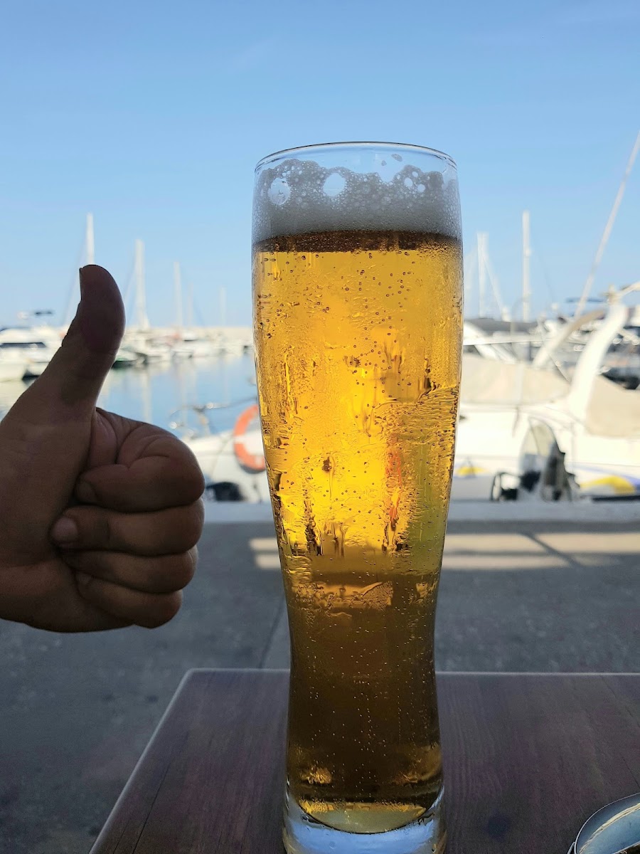 Harp and Shamrock - 6