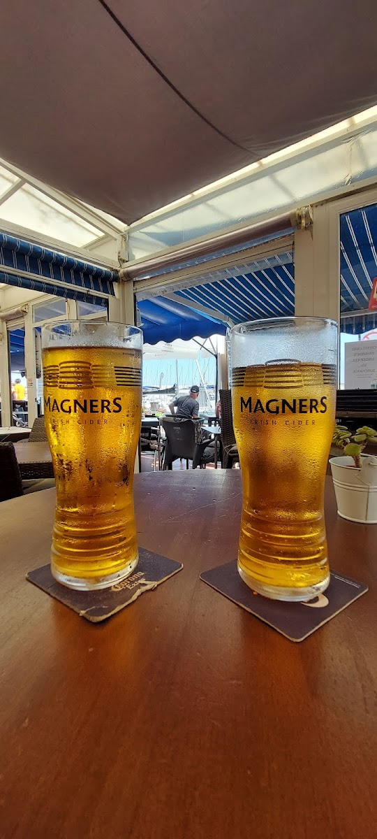 Harp and Shamrock - 7