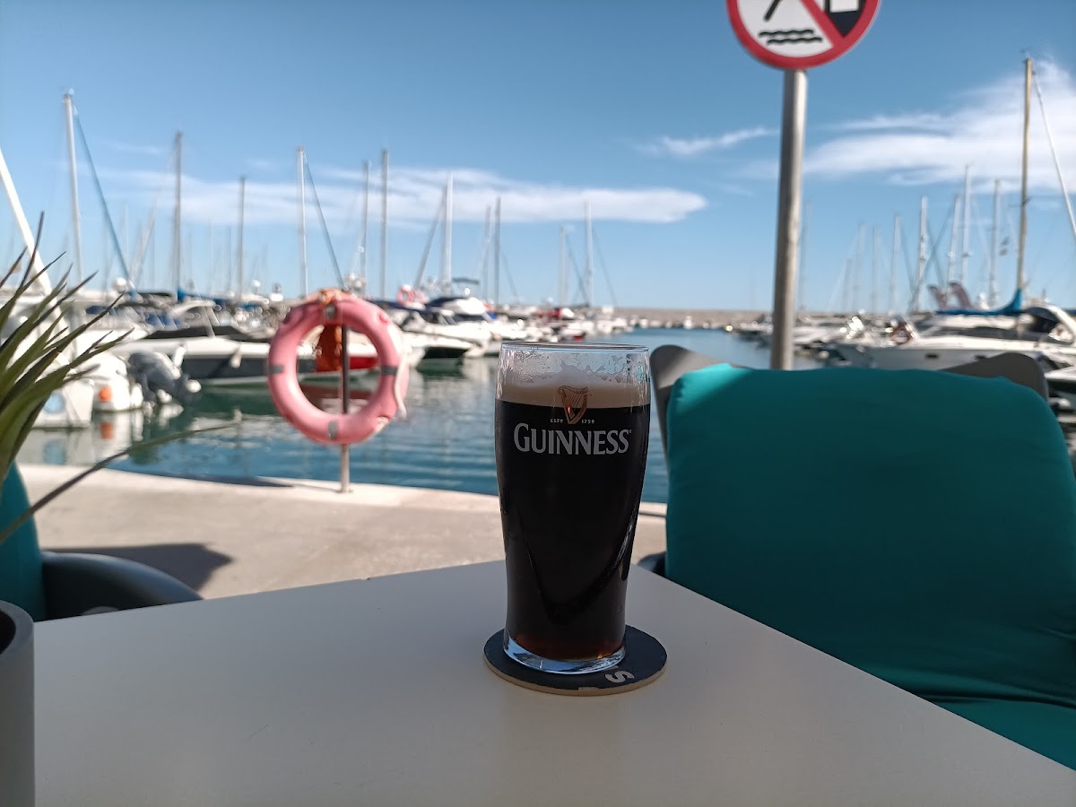 Harp and Shamrock - 9