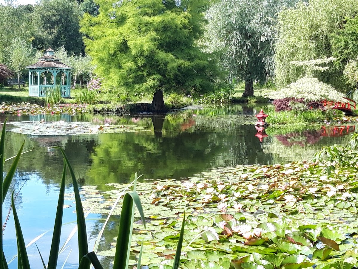 Café Monet - 3