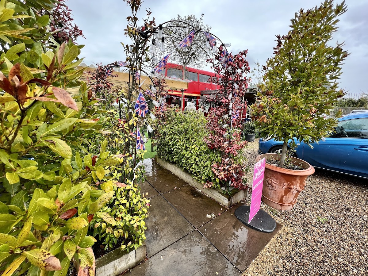 Drake Teas On The Bus - 4