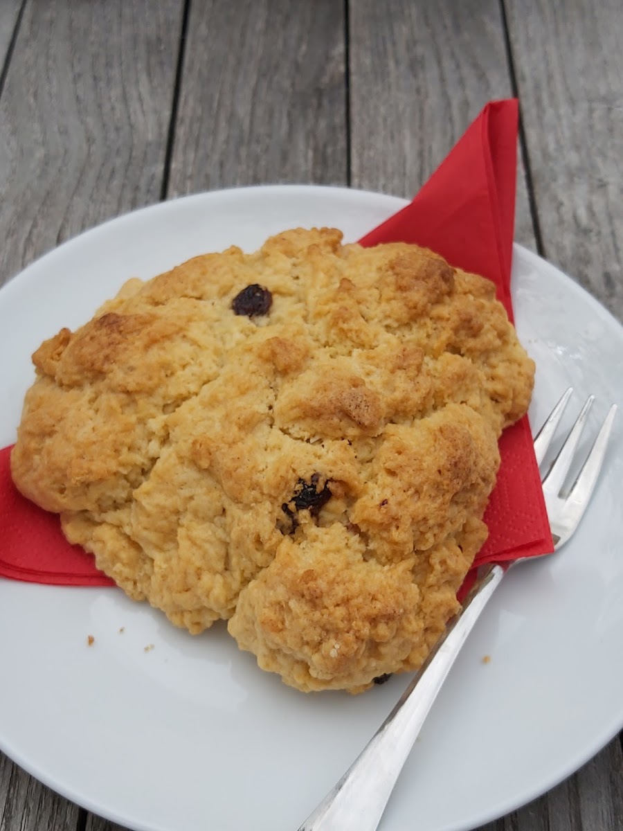 Drake Teas On The Bus - 6