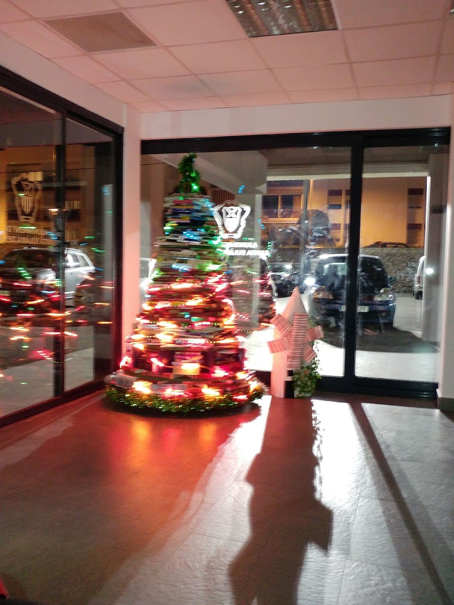 Sala Polivalent Puig d'en Valls - 4