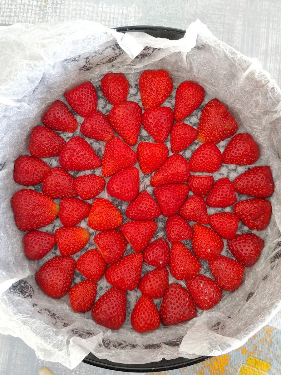 Sala Polivalent Puig d'en Valls - 5