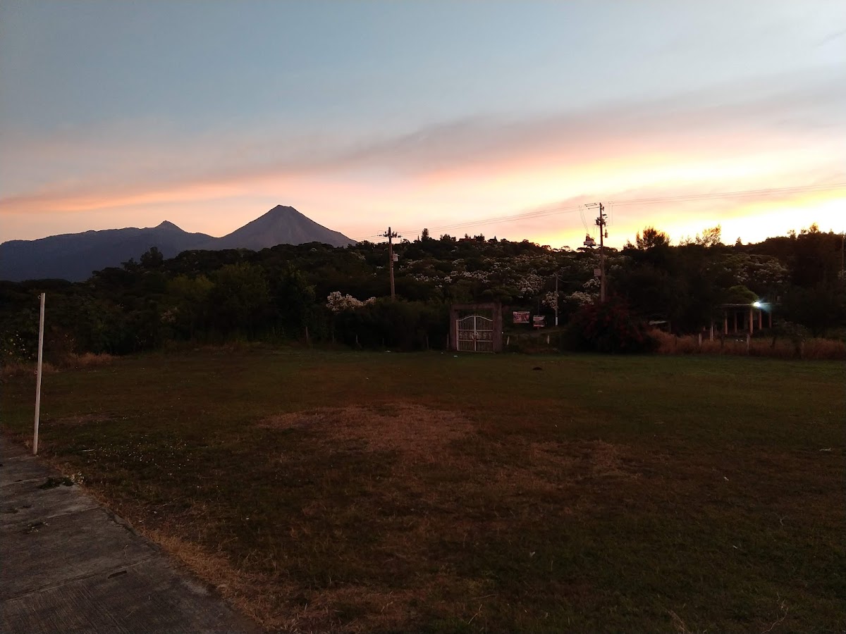 Cafe, Esquites, Elotes Y Tamales NENA