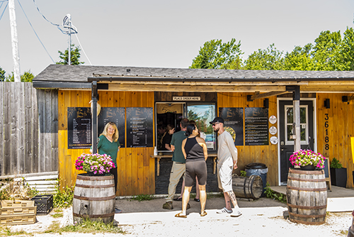 Bitsy Bean & Night Owl Coffee