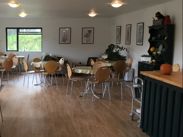 Willow Tree Cafe and Woodland Walk