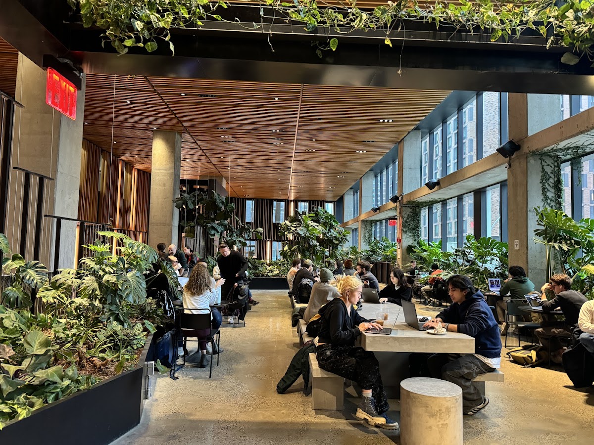 Georgie’s Cafe & Bar