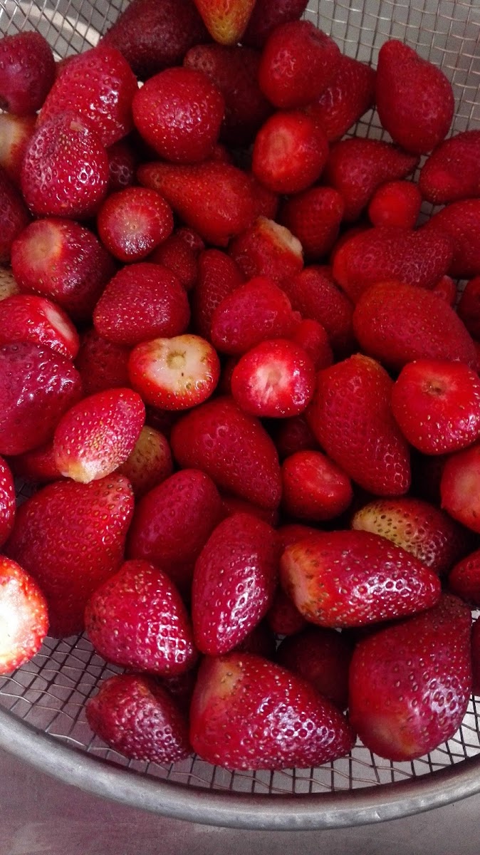 Cafeteria Cafe @li - 6