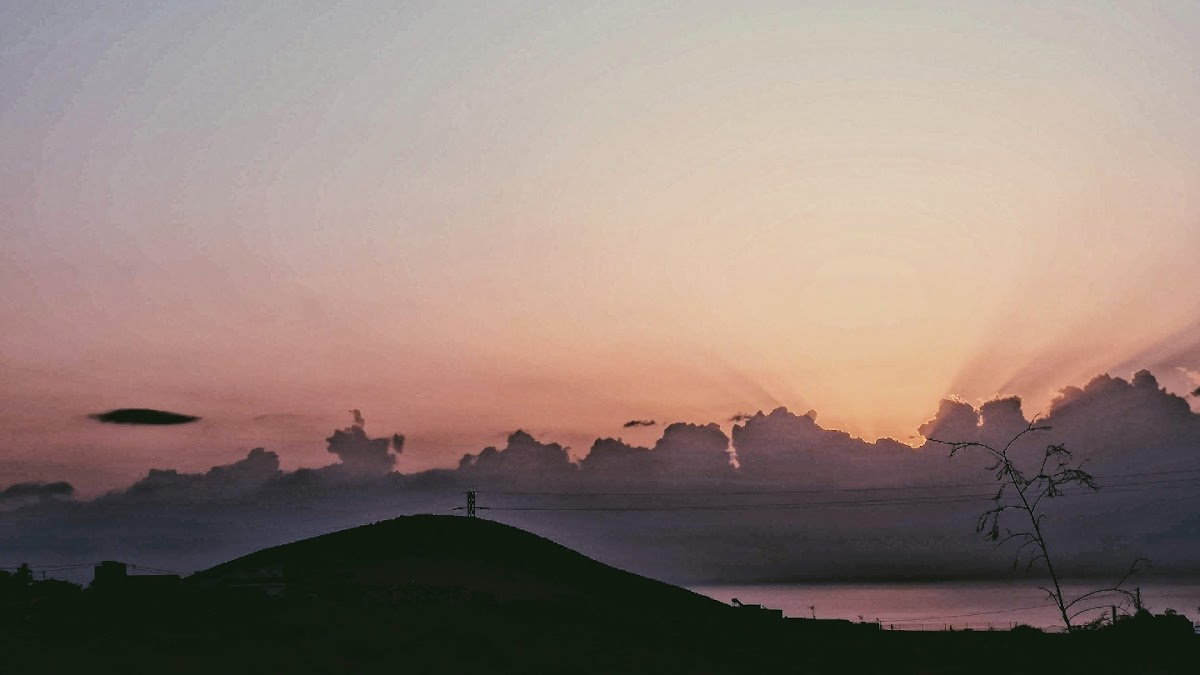 Bar Nuevo Cordobés - 10