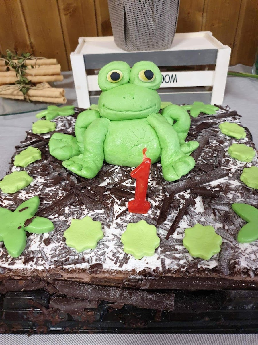 CÓXEGAS LIMISI - 10