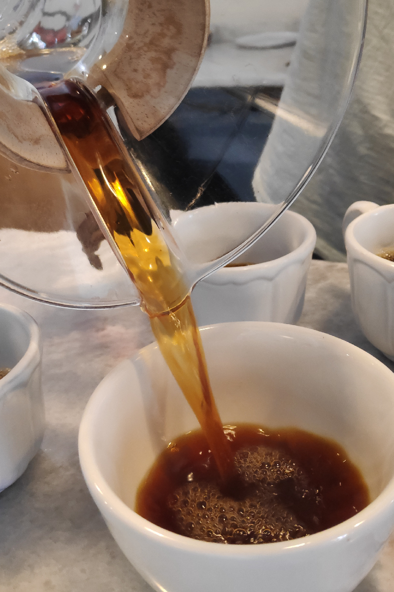 Camino a Comala: Café de Especialidad - 10