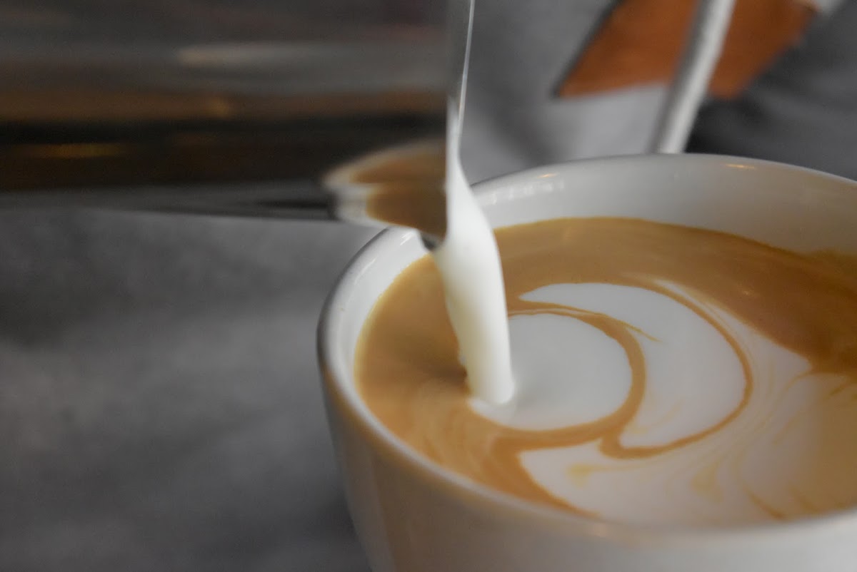 Camino a Comala: Café de Especialidad - 5