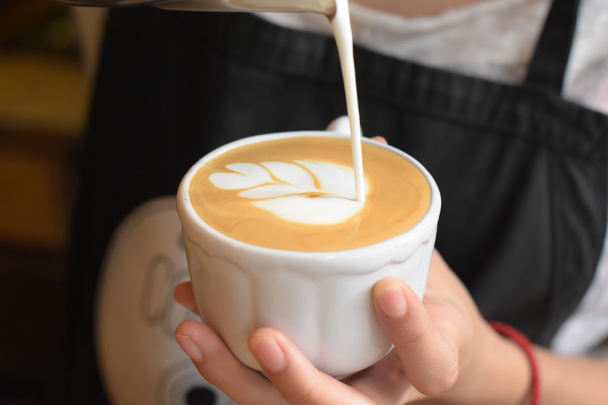 Camino a Comala: Café de Especialidad - 6