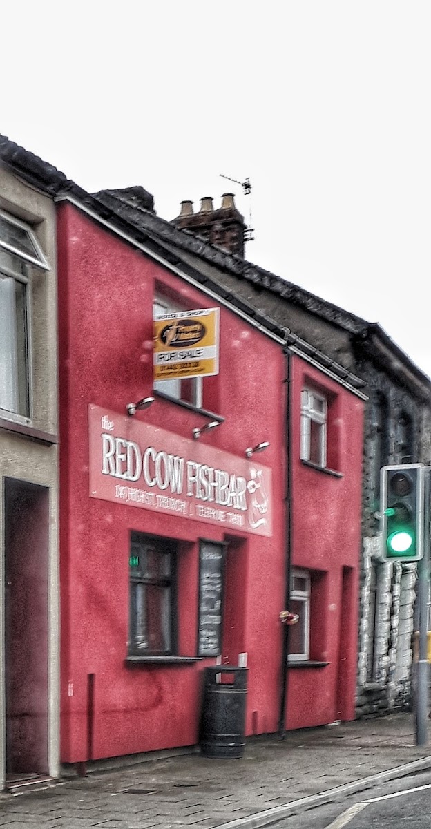 The old red cow