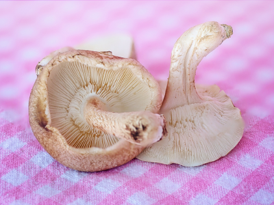 Star Express Selsdon - 9