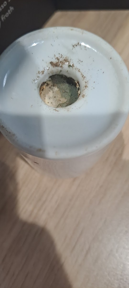 The Stable Door Cafe & Ice Cream Parlour - 9