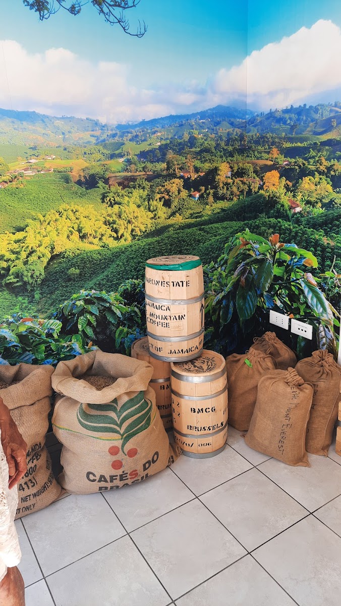 Marosticana Caffè - 4