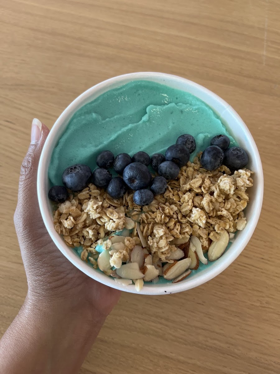 Celebrate Nutrition - Smoothies, Protein Donuts & Energy Teas - 6