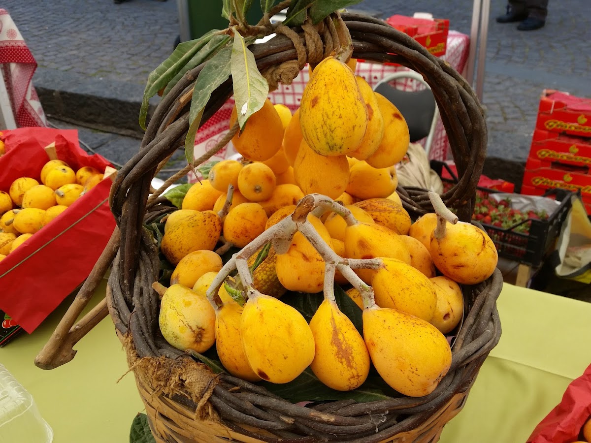 Antica Caffetteria di Riolo Concetta & Salvatore Amoruso - 4