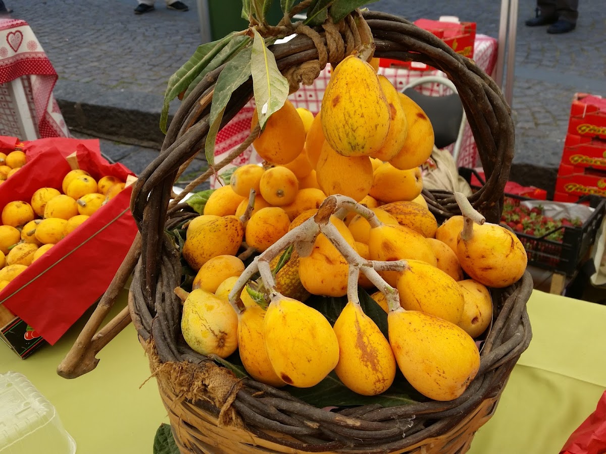 Antica Caffetteria di Riolo Concetta & Salvatore Amoruso - 8