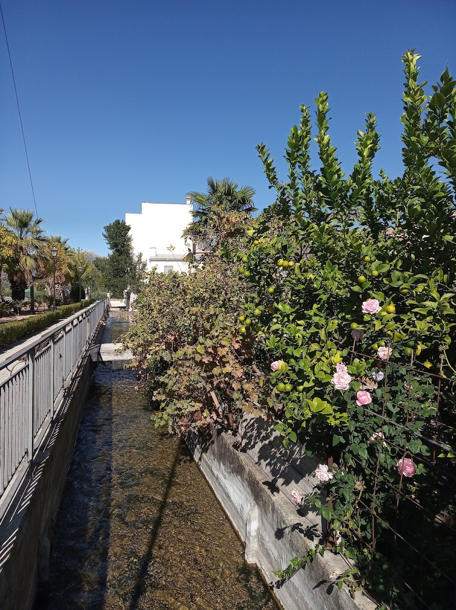 Panaderia Heladeria Las Delicias - 3