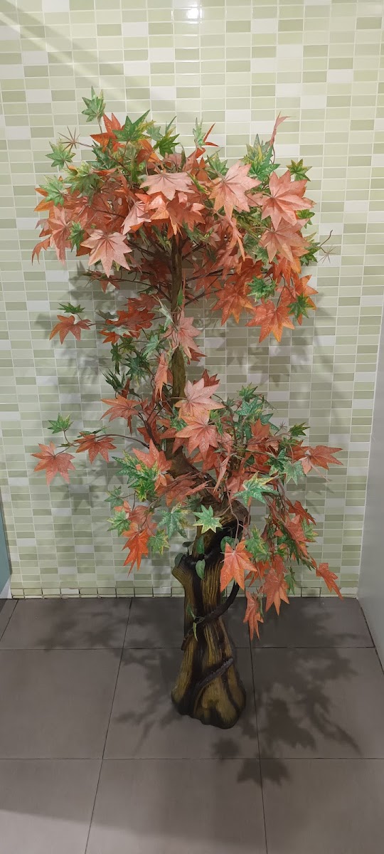 Cafeteria Area 51 - 2