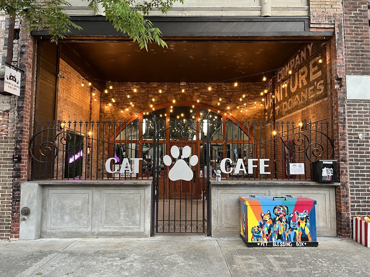 Boops & Beans Cat Cafe