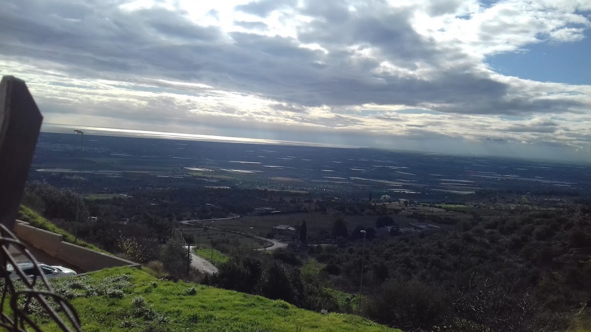 Champions' Cafe Di Impedovo Maria Giuseppa