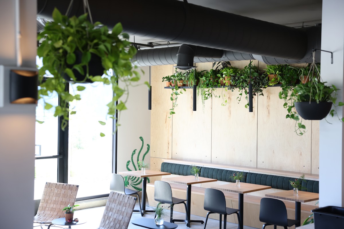 DOMA Coffee Roasting Company - Cafe