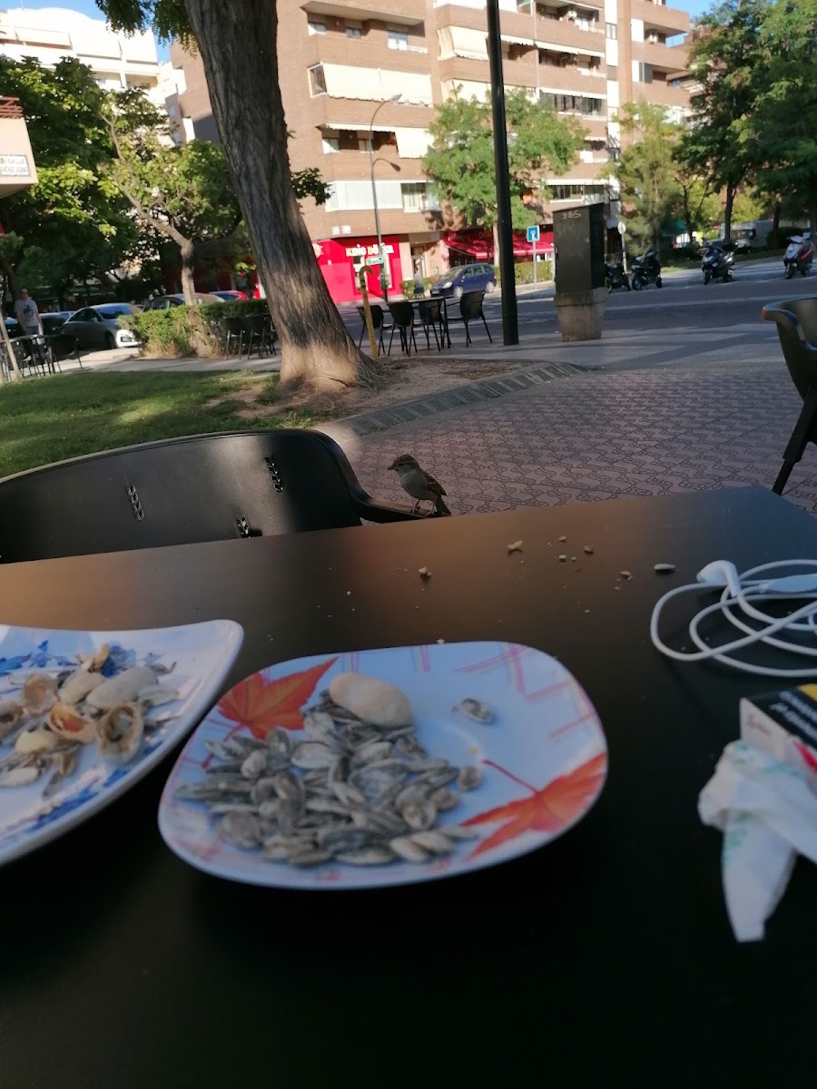 Café Simi - 5