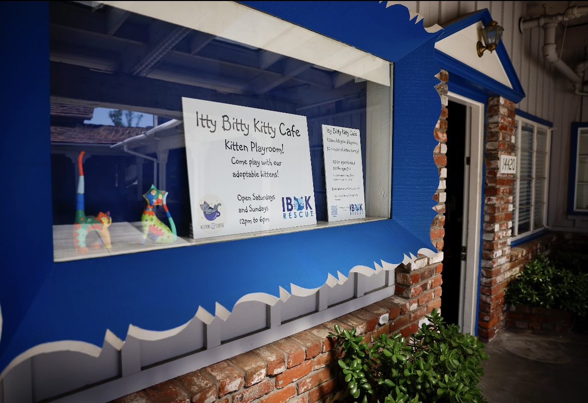 Itty Bitty Kitty Cafe