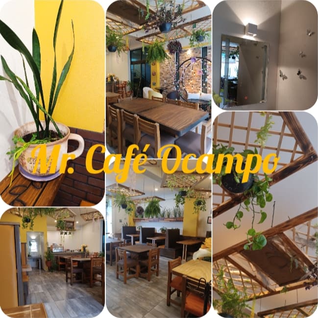 Mr. Café Ocampo