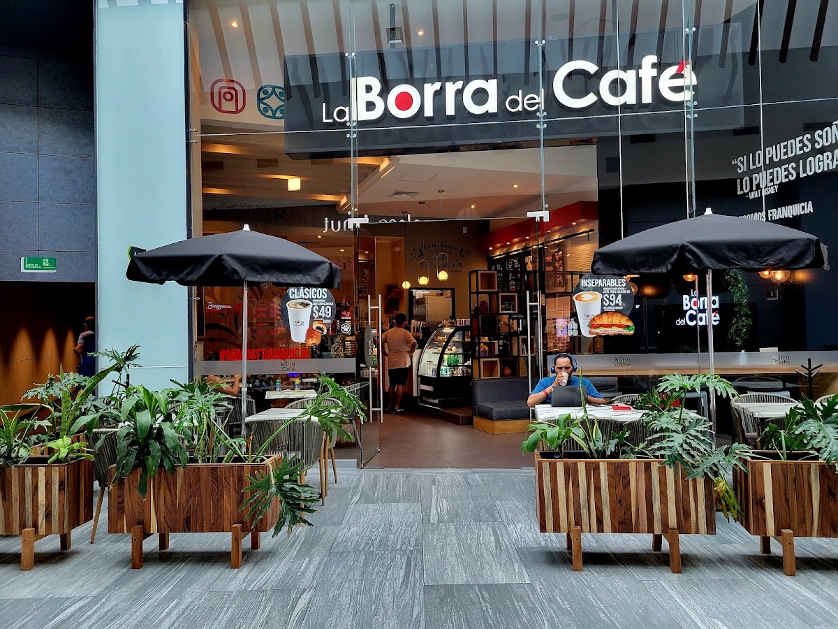 La Borra del Café Galerias Santa Anita