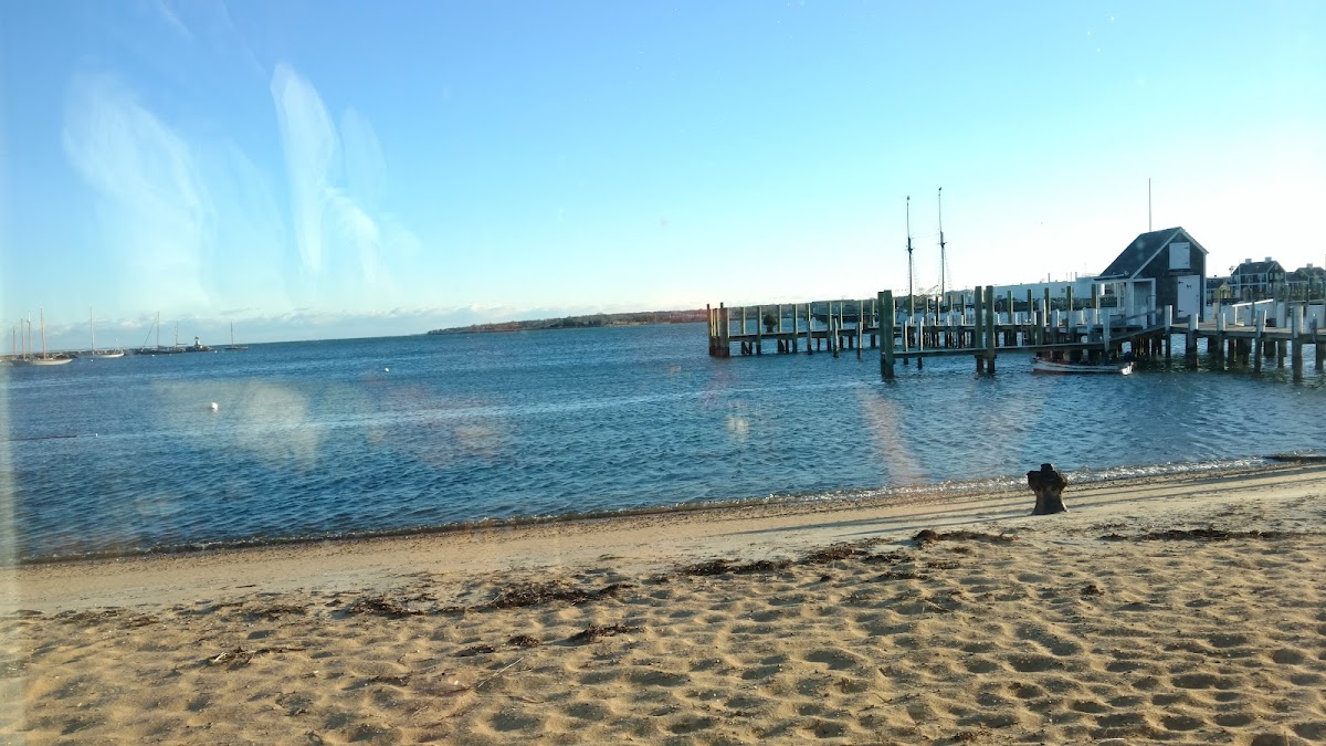 The Black Dog Dockside Cafe - 3