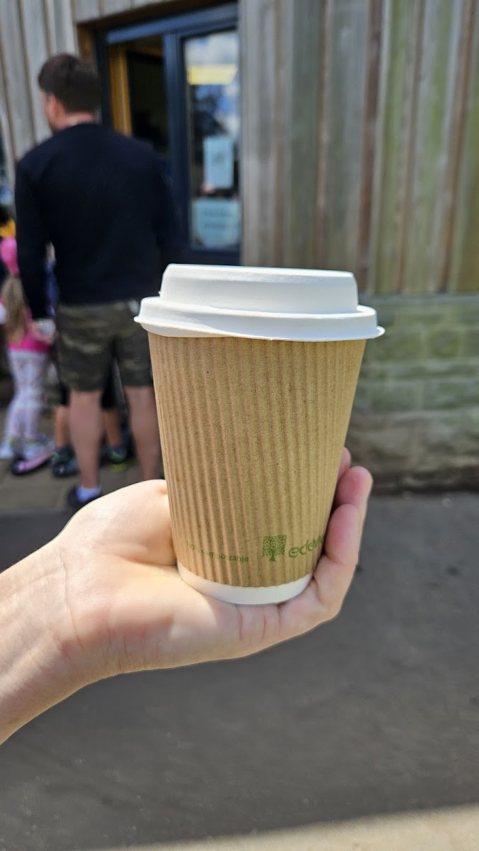 Page Park cafe and Community Space - 9