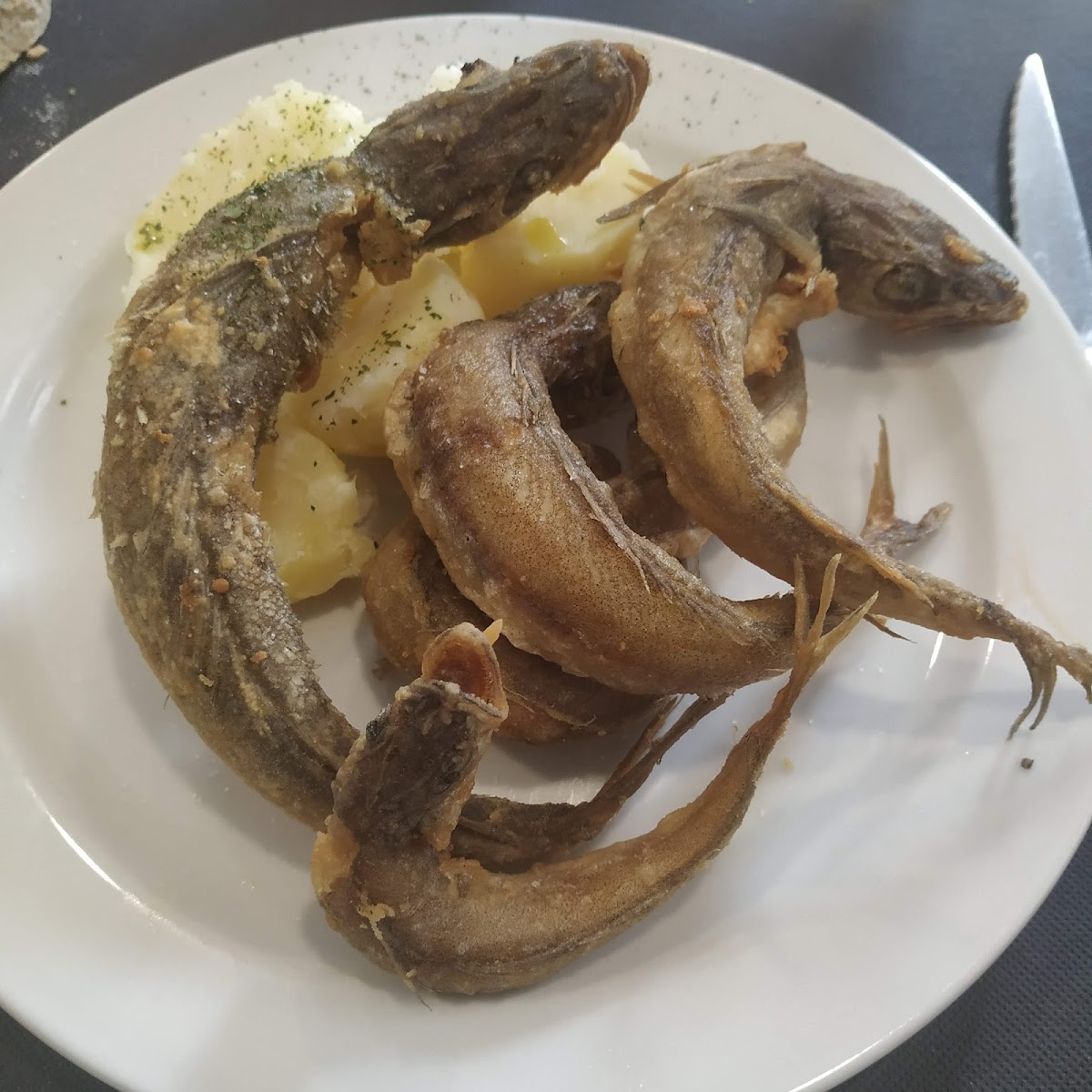 Cafetería Con Dos Fogones - 5
