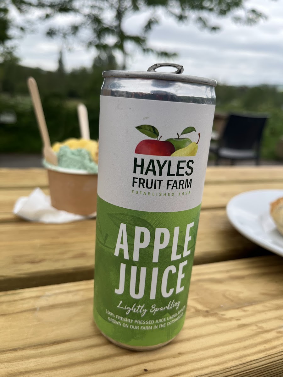 Orchard Kitchen at Hayles Fruit Farm - 9
