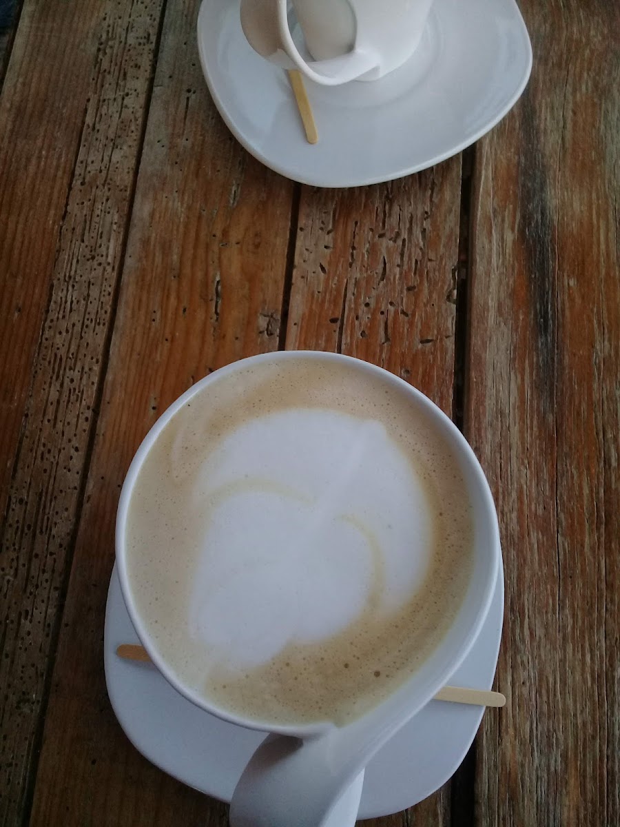 Coffea 221 - 5