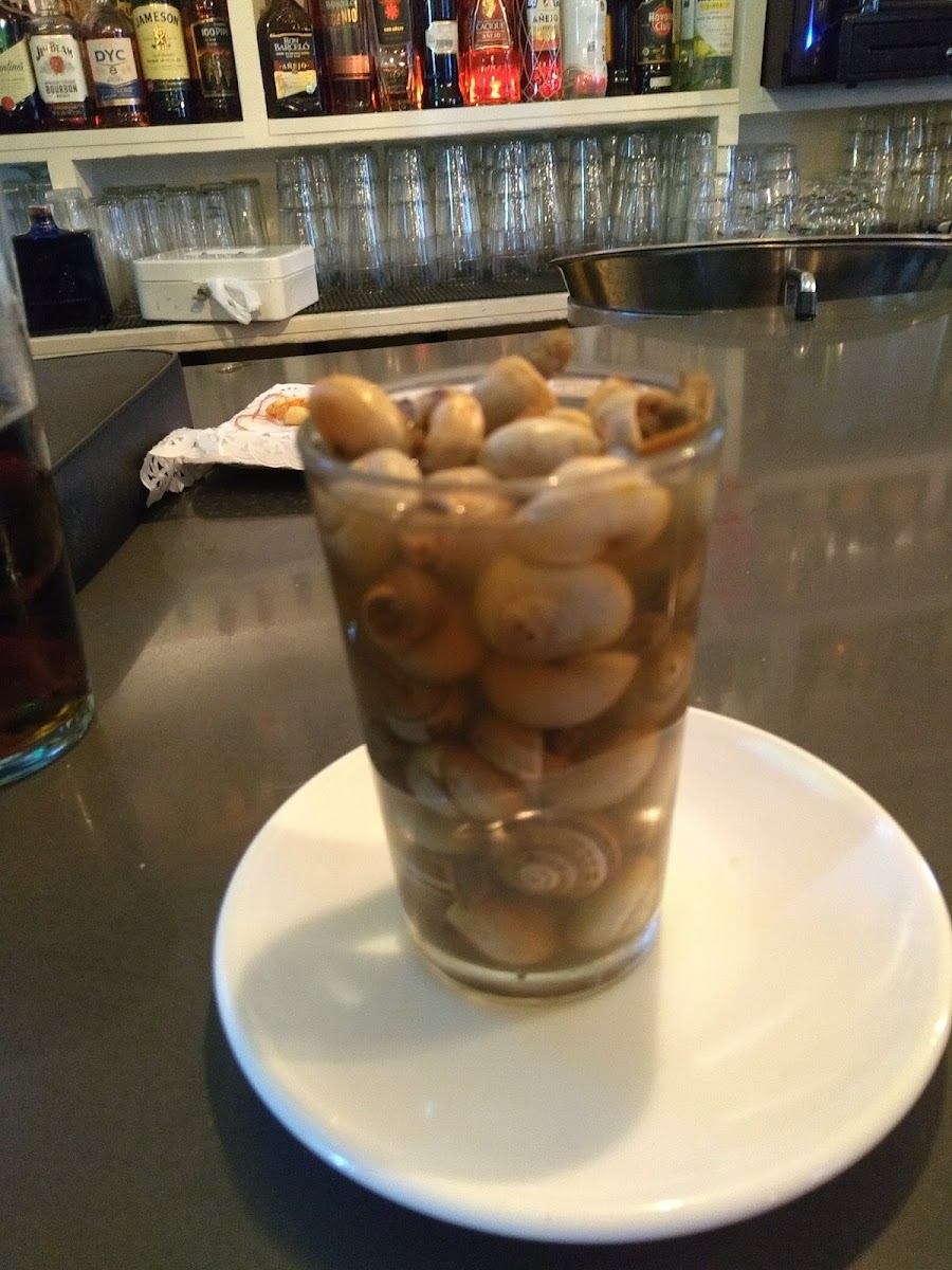 Bar Cafetería 500 palabras - 9