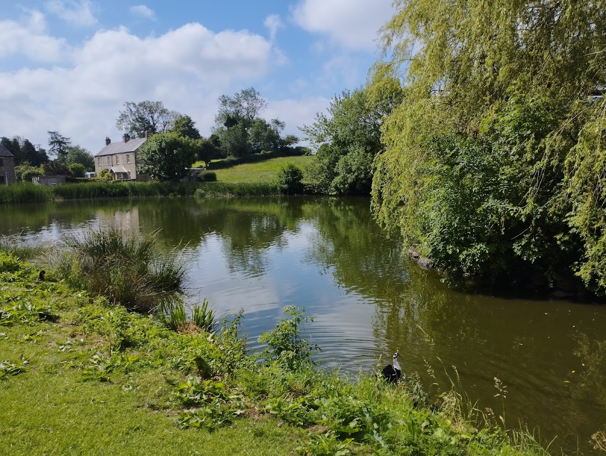 Grewelthorpe Village Hall and Hackfall Cafe - 4