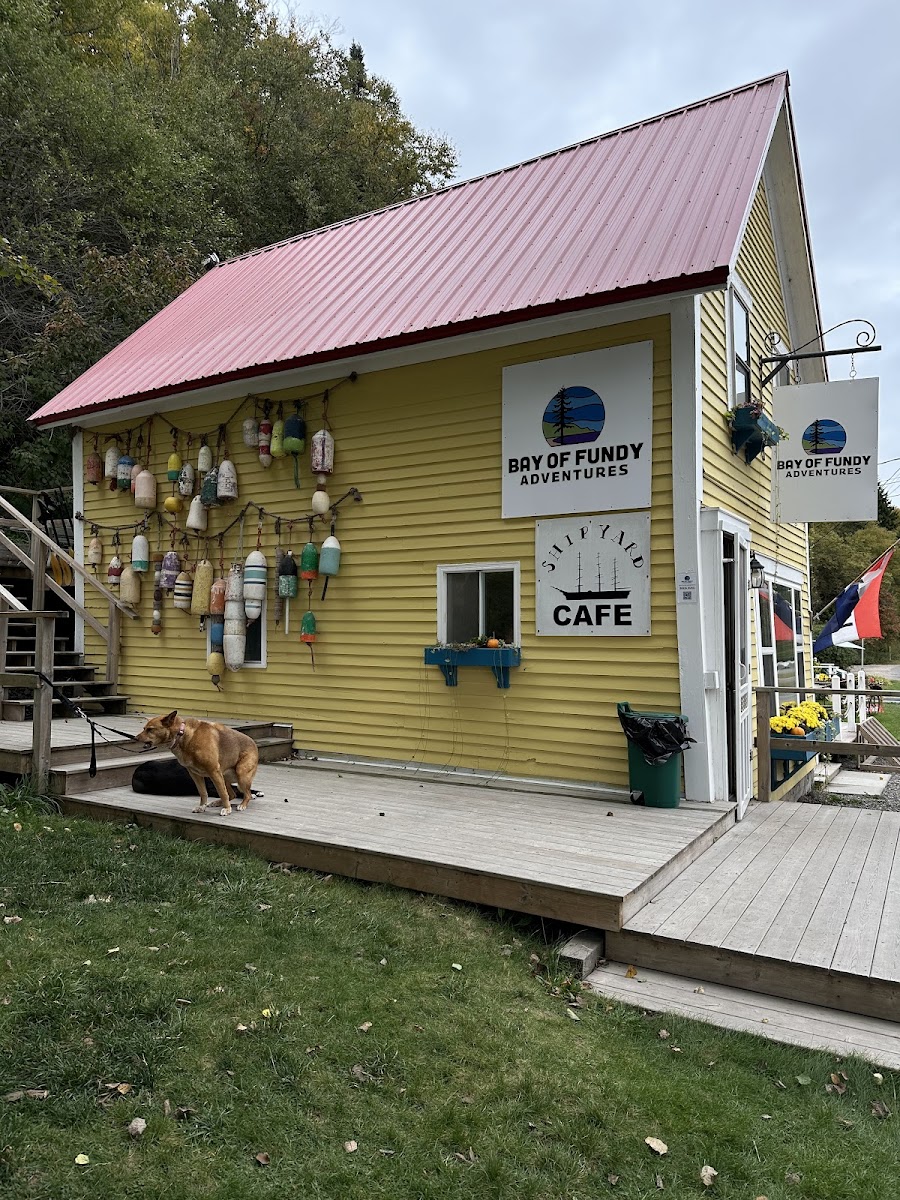 SHIPYARD CAFE - 3