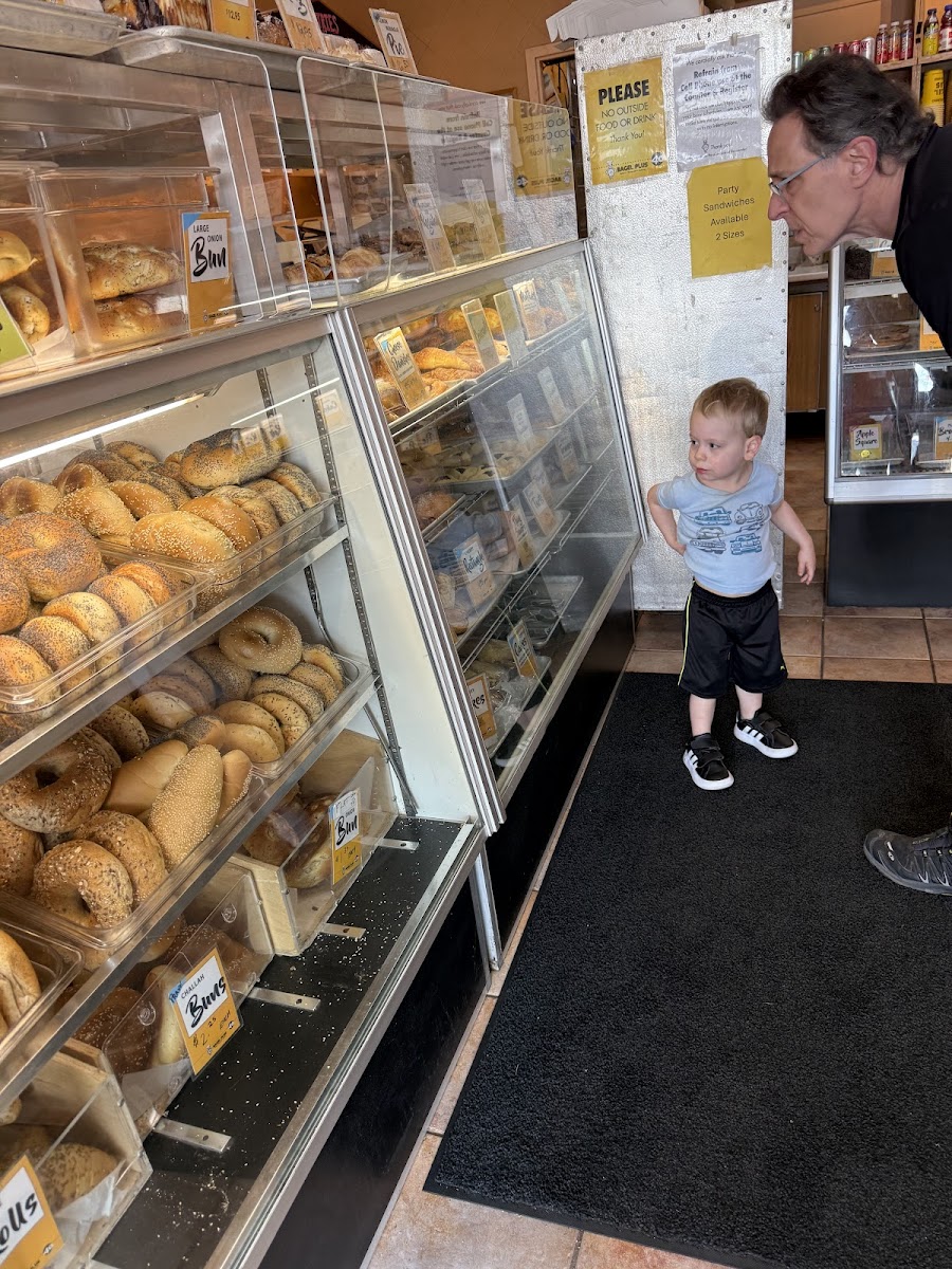 Bagel Plus - 4