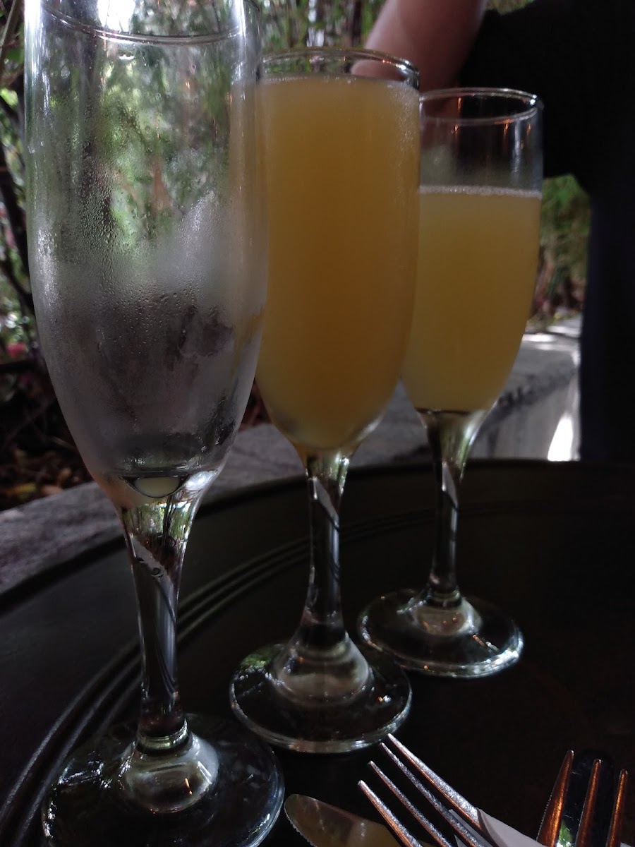 Garden Cafe (of Sherman Oaks) - 8