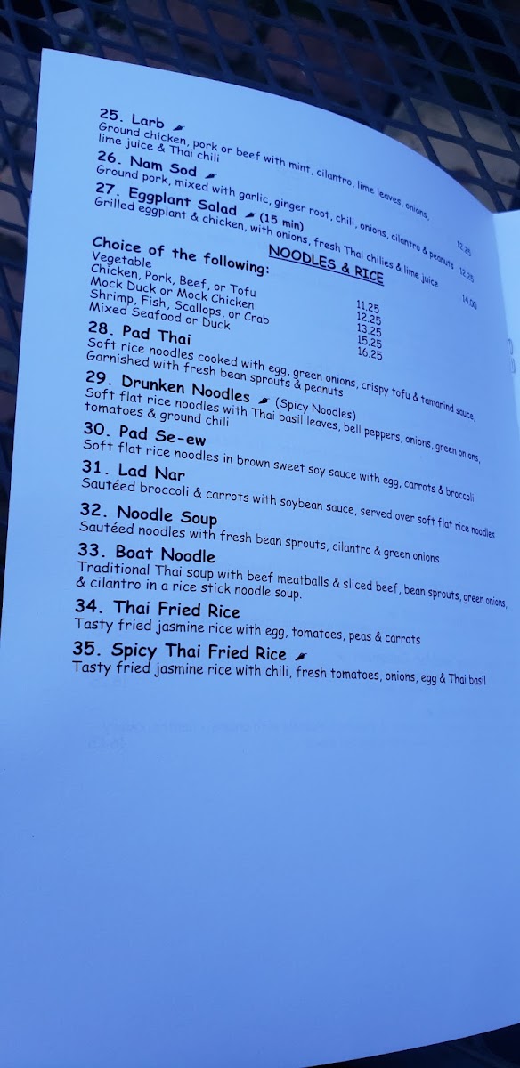 SOPA Thai Cuisine - 10