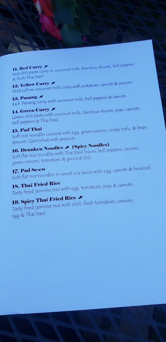 SOPA Thai Cuisine - 6