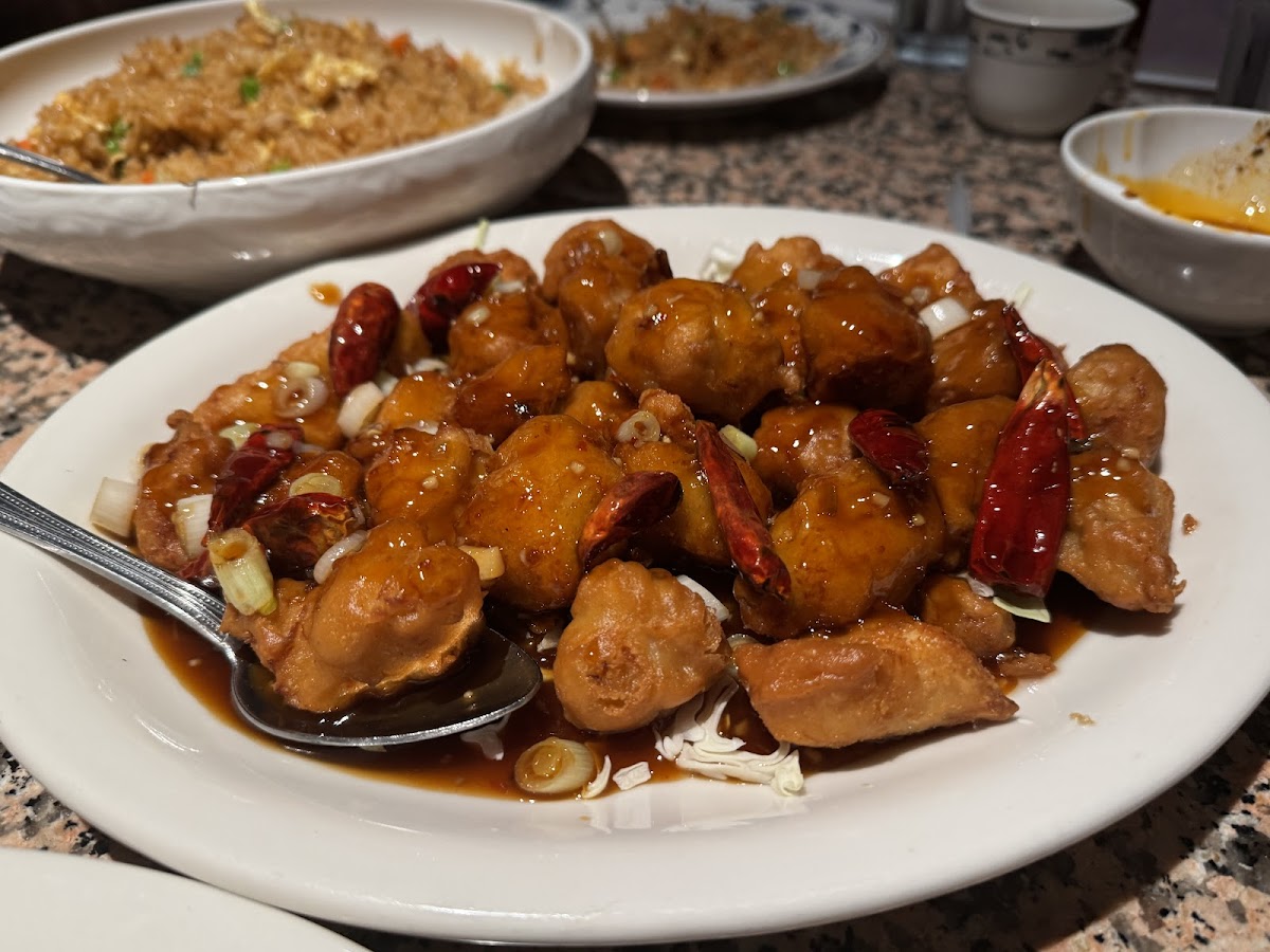 Rice Bowl - 4
