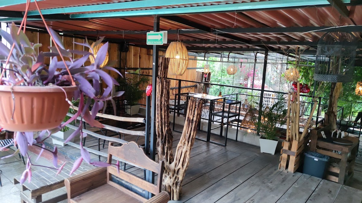 Magnolia Coffee House