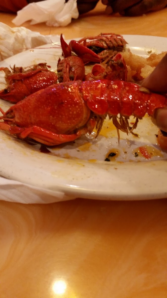 Ichiban Grill Supreme Buffet - 9