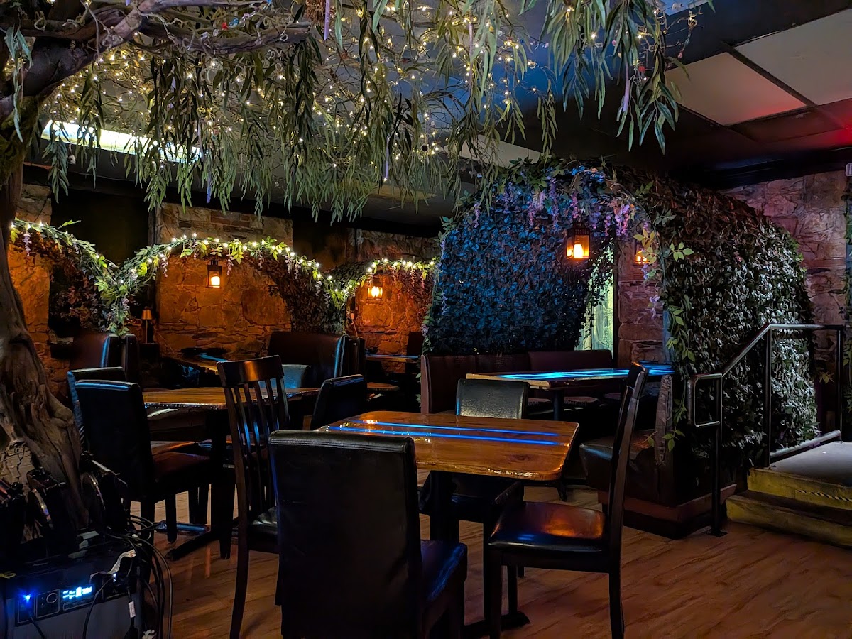 Enchanted Forest Dining Experience - 4
